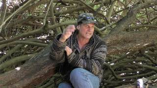 Talkin Story With RW-The Million Dollar Musk Ox - Hear the story behind the arrows belt knife