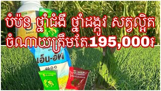 1ហិចតាចំណាយត្រឹមតែ195,000៛ប្រើដល់ប្រមូលផលមាន ថ្នាំបំប៉ន ថ្នាំជំងឺ ថ្នាំសត្វល្អិត