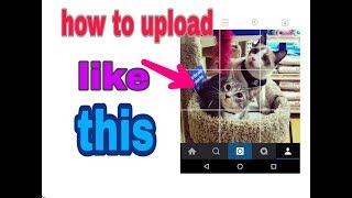 How to upload a picture in grid instagram screenshot 3