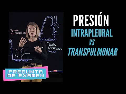 Video: ¿Por qué la presión intrapleural es negativa?