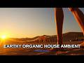 Ultimate Relaxing Organic House Mix for Your Soul