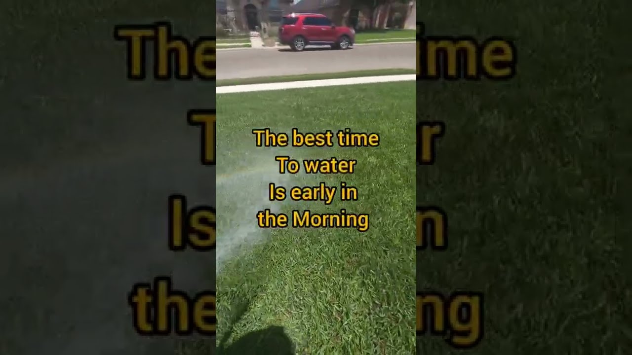 Summer Lawn Watering Tips