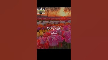 #سورةالرحمن #احمد_العجمي والضحى #قرآن   #تلاوات #تلاوات #قران_كريم  #قرآن #تلاوة_خاشعة