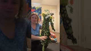 Huge toy declutter discussion!!