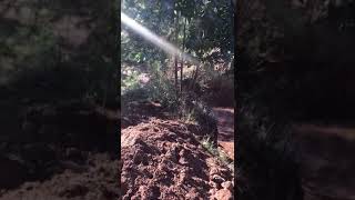 Comunidad de Penco en alerta por excavaciones de minera de tierras raras en Gran Concepción