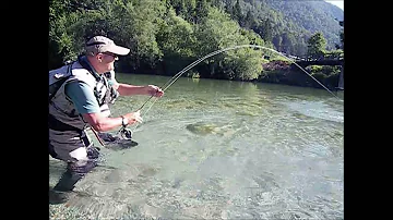 Dove finisce la Drava?