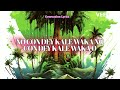 Timaya & Tiwa Savage - IN MY HEAD (Official Video Lyrics)