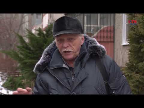 Популярная орнитология: свиристель
