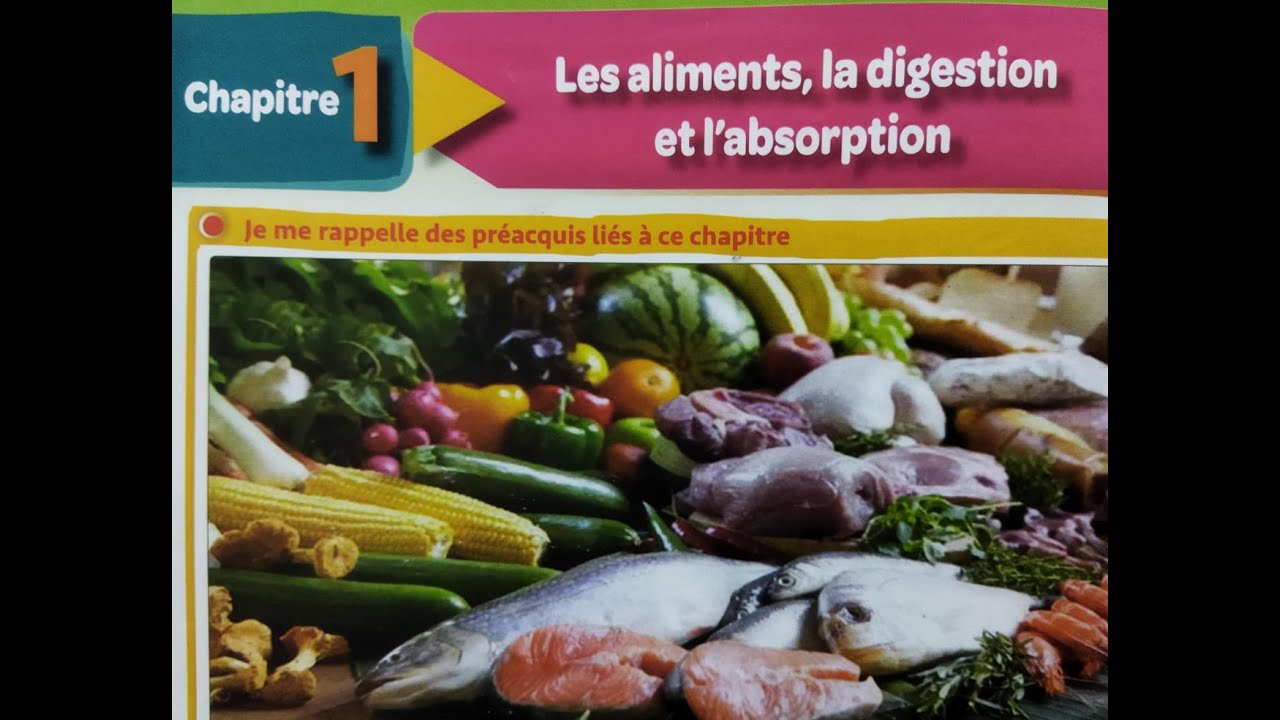 Transformation des aliments dans l'estomac partie 3