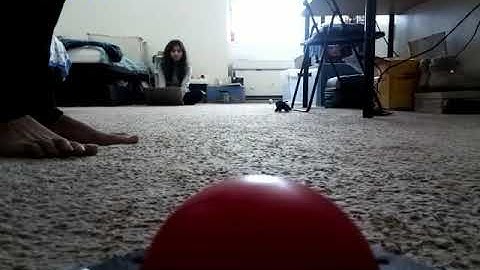 Servo control for gripper using Raspberry pi