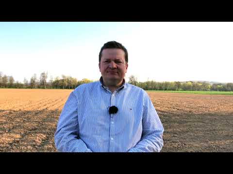 Video: Wie Man Mais In Einer Riskanten Landwirtschaftszone Anbaut. Teil 1