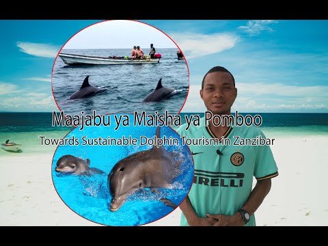 Video: Jinsi Ya Kufanya Mapenzi Katika Nafasi Ya Dolphin