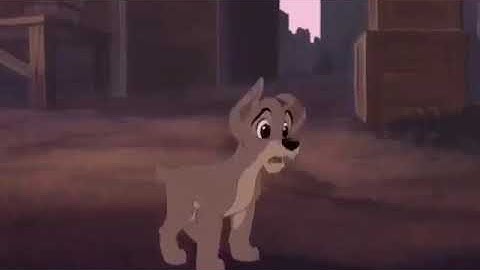 This town animash Mep