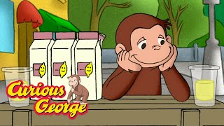 Lemonade for Sale!  Curious George  Kids Cartoon  Kids Movies