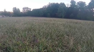 QAV400 Tuning Session