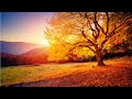 Soft Healing Morning Music 528Hz ➤ Free Positive Energy - Calming Relaxing Meditation Music