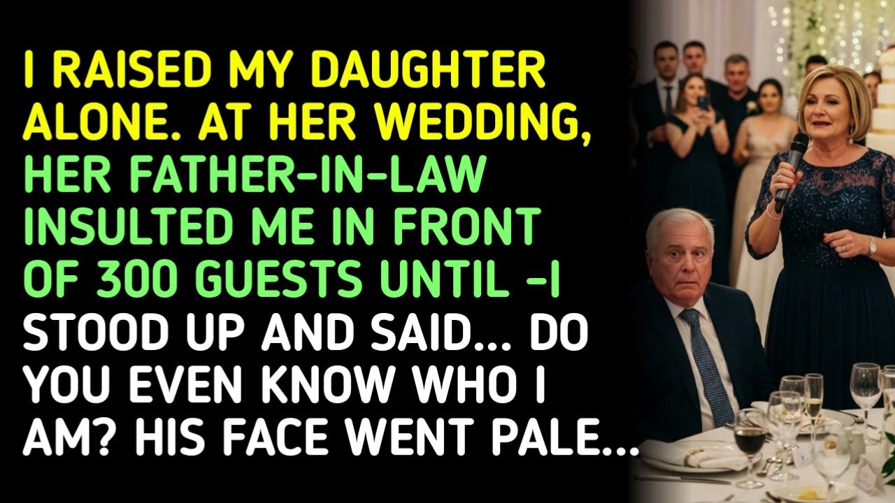 I RAISED MY DAUGHTER ALONE. AT HER WEDDING, HER FATHER-IN-LAW INSULTED ME IN FRONT OF 300 GUESTS...