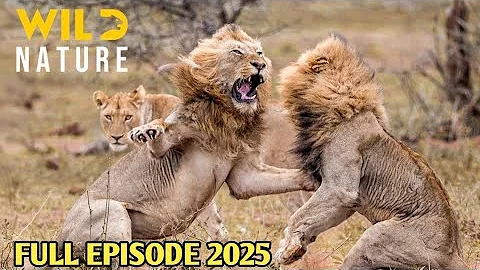 The Lion King | Secrets You Never Knew About Simba's Journey | Discovery 2M