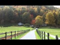 1378 Reasonover Road | Cedar Mountain | NC 28718 | Equestrian Estate | Dupont State Forest