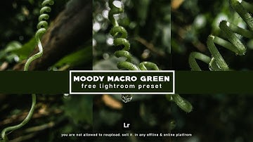 Moody Macro Green Lightroom Preset || Macro Photograpy tricks || Free DNG || Android & IOS