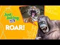 Animal Jokes and Knock Knock Humor