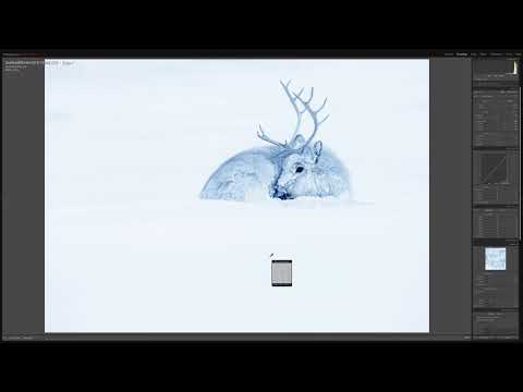 Processing Drawing in Adobe Lightroom