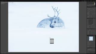 Processing Drawing in Adobe Lightroom