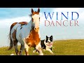 Wind dancer 1993  full movie  mel harris  matt mccoy  brian keith