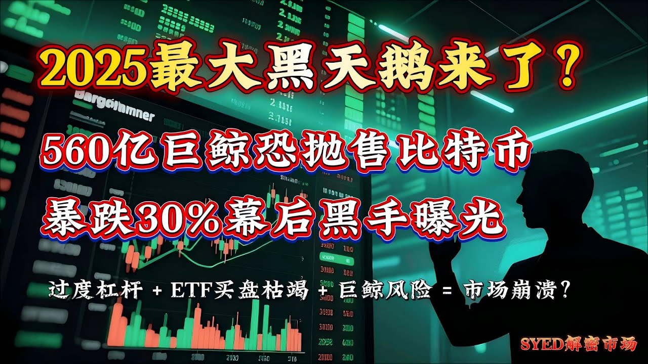 27万人一夜爆仓！比特币跌破8万生死线?24小时蒸发10亿美元，为何这次下跌不是回调？#马股 #美股 #股票 #股票分析#投资 #股市 #投资  #syed解密市场