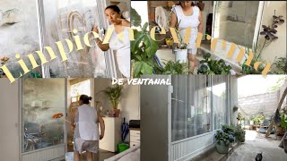 Limpieza extrema de ventanal // ya trasplanté mi hortensia y gardenia 🫰🏻