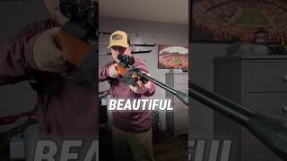 Ruger .22 Pellet Rifle Review Best Air Rifle For Small Game Hunting