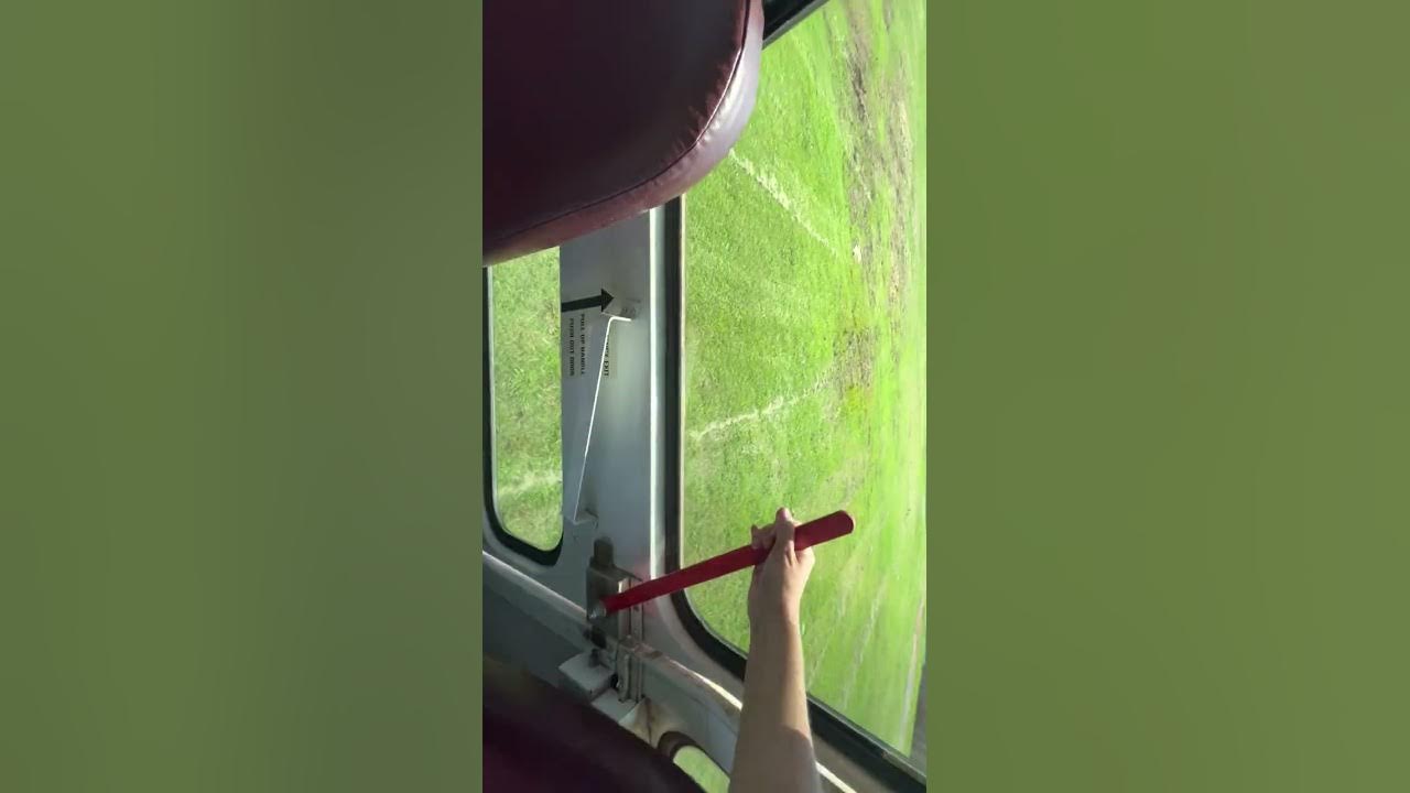 blue-bird-school-bus-youtube