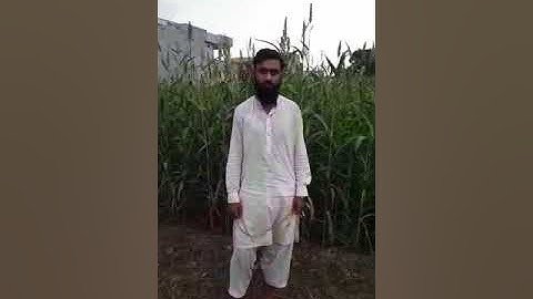 Measurement Of Growth Parameters, Yield Components Of Sorghum And Quantification Of Biomass....