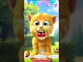 talking ginger gameplay funny cat video talkingtomversion talking ginger gameplay funny cat video talkingtomversion