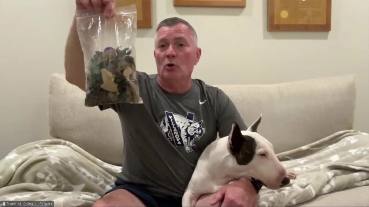 Dog left tied to fence before Hurricane Milton undergoes surgery to ...