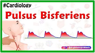 Pulsus bisferiens || #USMLE || #Cardiology