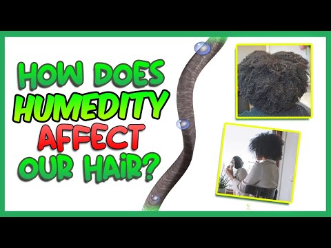 ვიდეო: რა ტენიანობაა ცუდი თმისთვის?