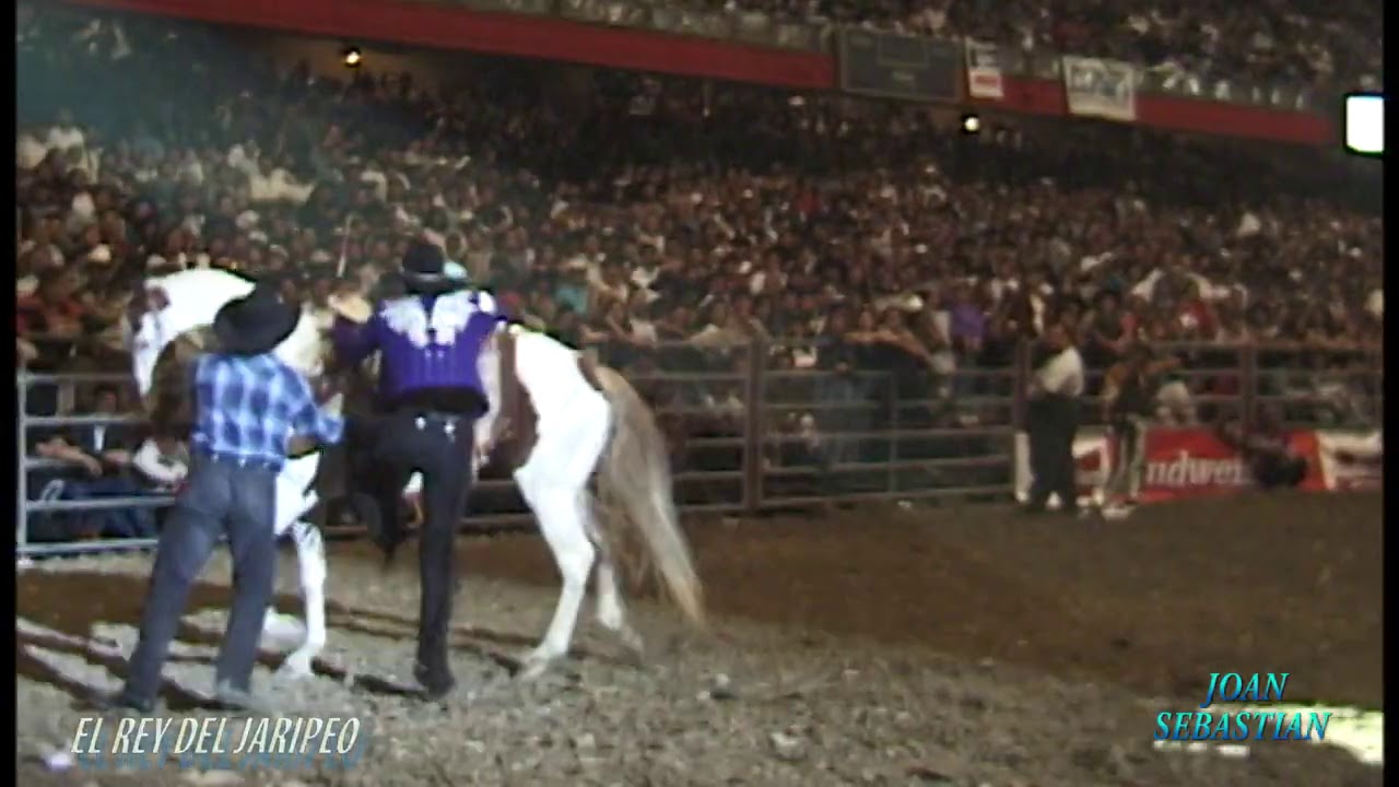 Joan Sebastian - Carrera a muerte - en vivo - en el anfiteatro de Chicago Illinois