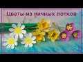 Цветы из яичных лотков. Нарцисс, ромашка, фиалка. Flowers made of egg box. Narcissus, chamomile