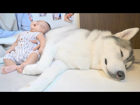 もんちゃんっていうよ。 - YouTube