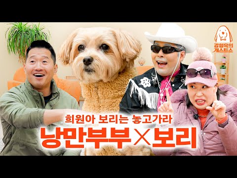 삼촌 앞에서 박수 재롱부리는 강아지 실존 [강형욱의개스트쇼] EP.29