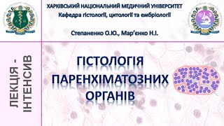 Гістологія паренхіматозних органів