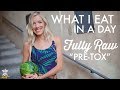 What I Eat In A Day: Fully Raw Vegan, Pre Juice Feast + Our Summer Recap