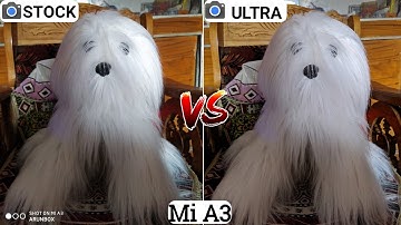Mi A3 Stock Cam VS Gcam Mod UltraCam | Which is Better ? 🤔 Stock Cam vs UltraCam | Mi A3 Camera Test