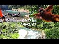 Amazing Bukit Lawang in North Sumatra