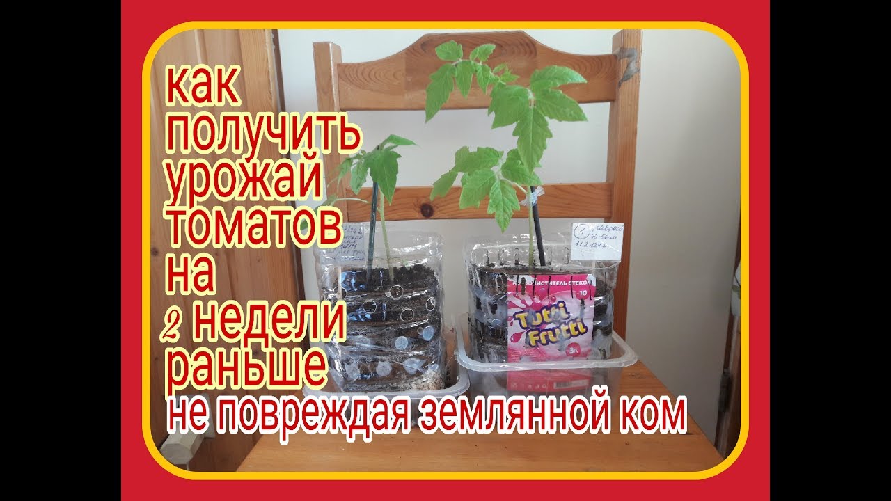 Как получить ранний. Как получить ранний