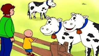 Caillou em Português ★ Episódios Completos ★ Caillou e os cachorrinhos ★ Desenho Animado ★