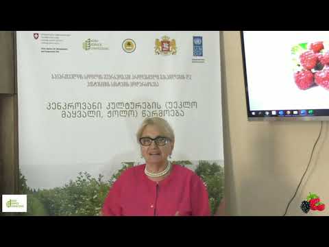 გაკვეთილი #2 - ჟოლოს და უეკლო მაყვლის აგრობიოლოგიური თავისებურებანი, ჯიშები