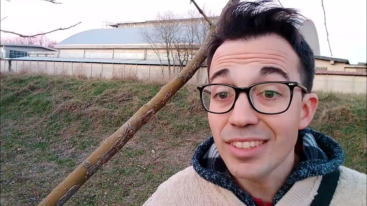 Offerte Di Lavoro Estero Vitto E Alloggio Offerte di lavoro lago di Garda con vitto e alloggio: 1 sito molto