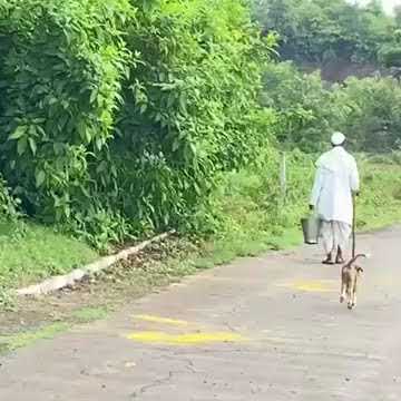 Pune HYENA attacks Old man|Wild attack